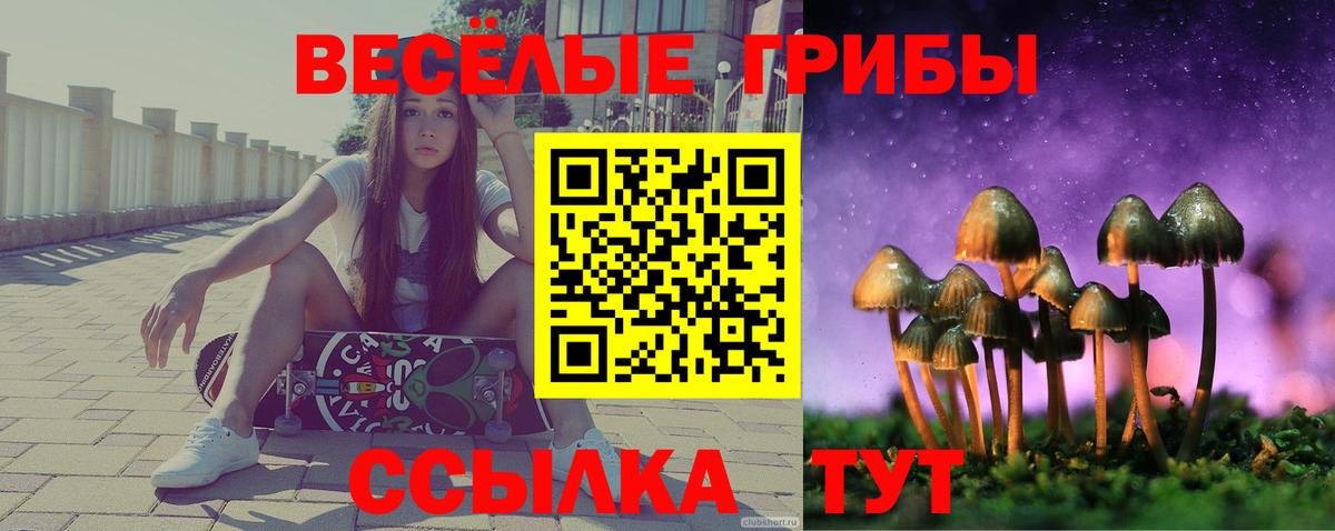 Псилоцибиновые грибы Cubensis Кандалакша